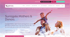 Desktop Screenshot of findsurrogatemother.com